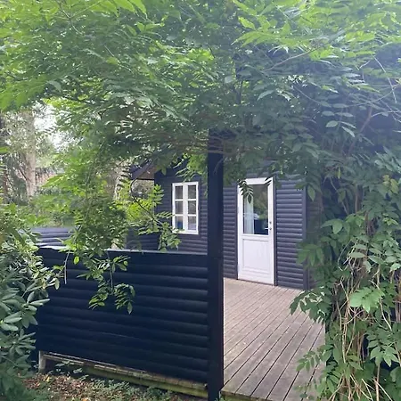 Bright & Spacious Family Steps From The *